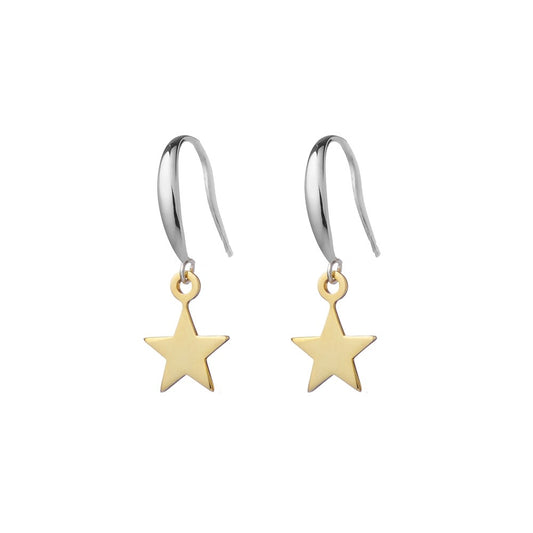 Two Tone Earring with Star Charm